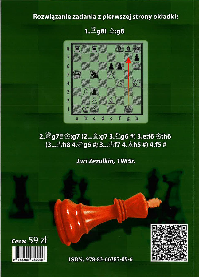 1400 kombinacji matowych - Ryszard Czajkowski, Andrzej Nowicki