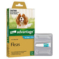 ADVANTAGE DOG 4-10KG MEDIUM TEAL 1'S
