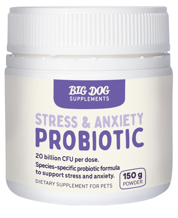 BIGDOG STRESS & ANXEITY PROBIOTIC 150G