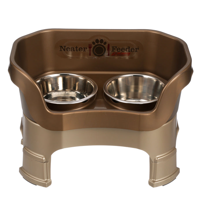 Bronze / Medium Dog
