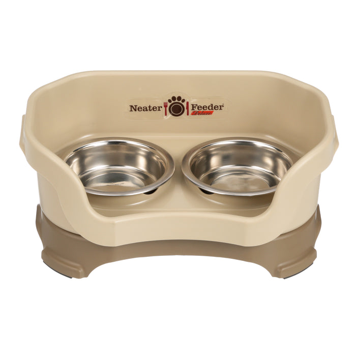 Cappuccino / Cat - Shallow Bowls / No