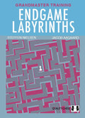 Endgame Labyrinths by Steffen Nielsen, Jacob Aagaard (miękka okładka)