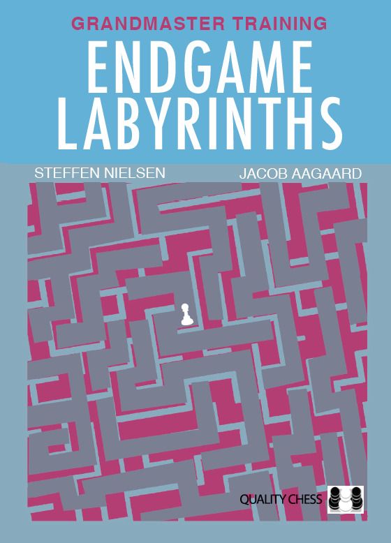 Endgame Labyrinths by Steffen Nielsen, Jacob Aagaard (miękka okładka)