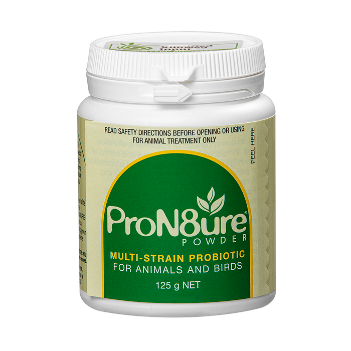 IAH PROTEXIN POWDER