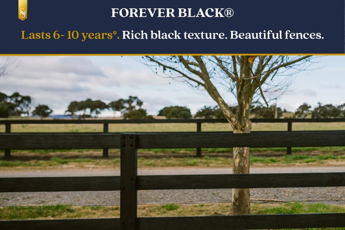 MASTER BLEND PAINT FOREVER BLACK