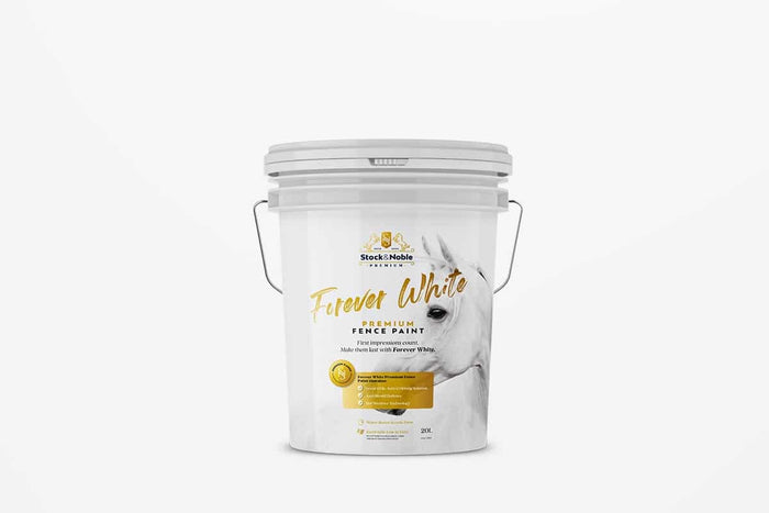 MASTER BLEND PAINT FOREVER WHITE