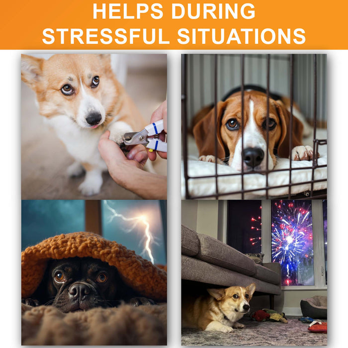 The Neat-Lik Express licking mat for dogs and cats helps during stressful situations such as nail trims, crate time, thunderstorms and fireworks
