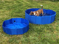 SWIMMING POOL LARGE 116 X 33 BLUE