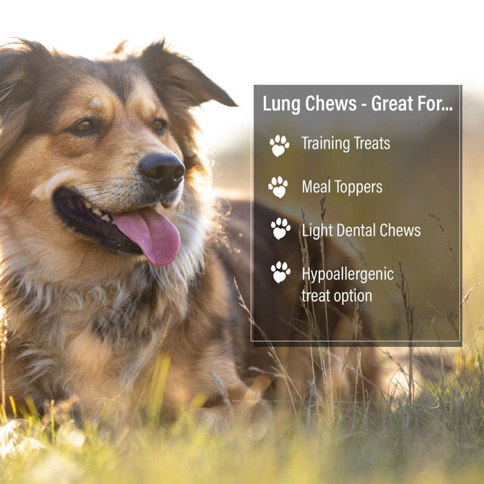 ValueBull Beef Lung Wafers, Premium 2 Pounds - Wafers - 2 Pound
