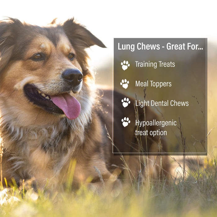 ValueBull Beef Lung Wafers, Premium 6 Pounds - Wafers - 6 Pound