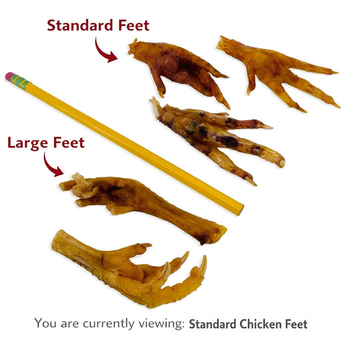ValueBull Chicken Feet for Dogs, 400 Count Bulk Pack - Chicken Feet - 400 Feet