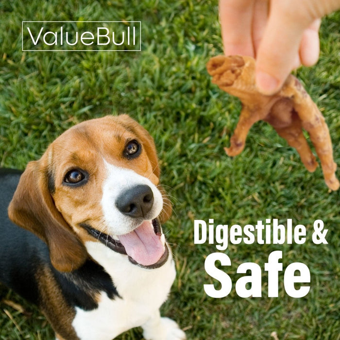 ValueBull Chicken Feet for Dogs, 800 Count Wholesale Pack - Chicken Feet - 800 Feet