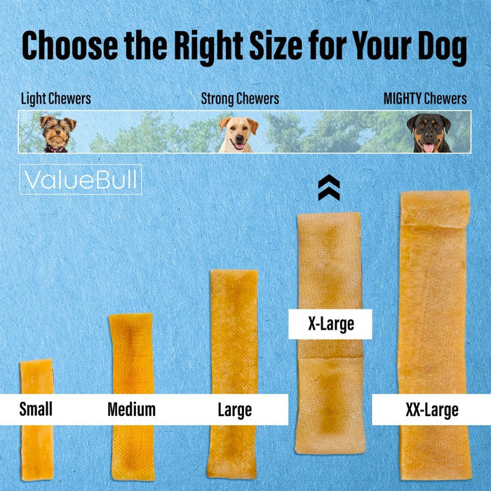 ValueBull Himalayan Yak Cheese Dog Chews, Extra Large, 10 Pound Bulk Pack - X-Large - 10 LB
