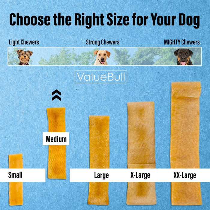 ValueBull Himalayan Yak Cheese Dog Chews, Medium, 10 ct - Medium - 10 Bars