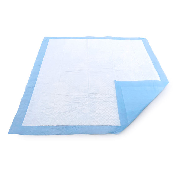 ValuePad USA Puppy Pads, Medium 22x23 Inch, 1,200 Count Wholesale Pack - 1200 Count